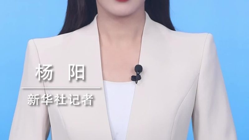 政务云服务供应商的选择：关键要素与决策要点